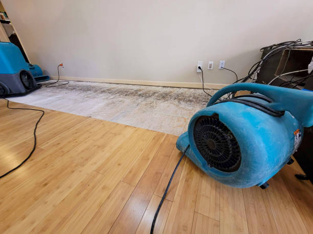 Professional Burst Pipe Water Damage technician working in Allenspark, CO